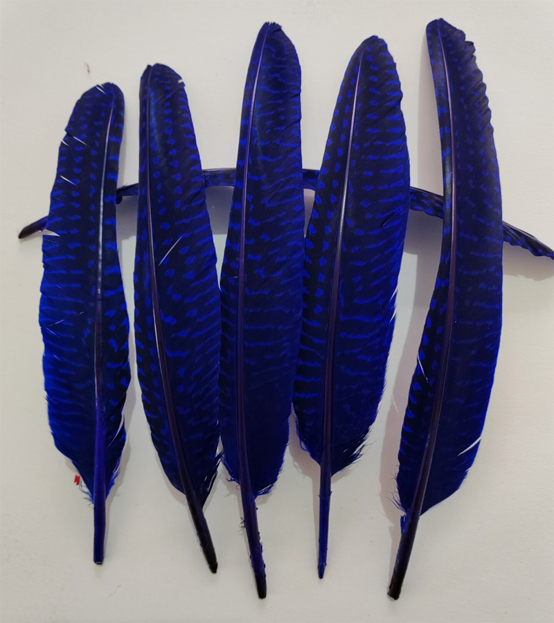 перья!100Pcs/Lot!14-20cm Multi - Art Quilling Craft recension och pris