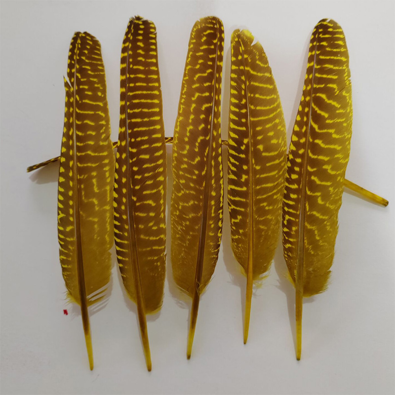 перья!100Pcs/Lot!14-20cm Multi - Art Quilling Craft recension och pris